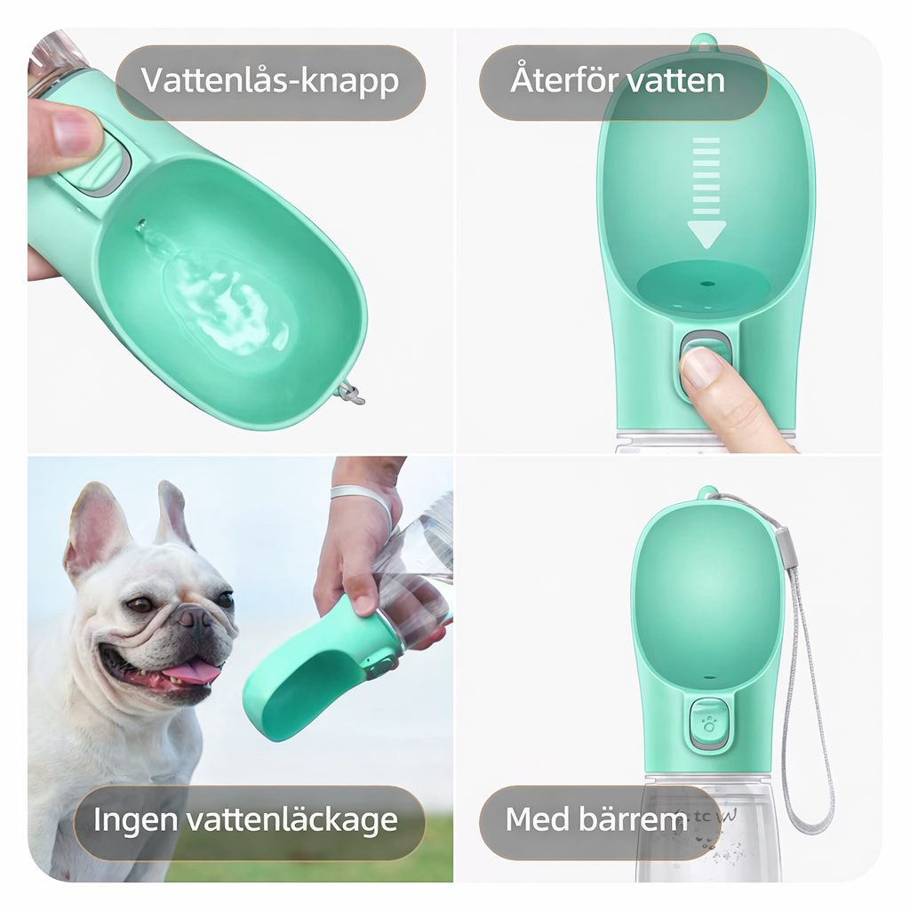 New Portable Water Bottle for Dogs & Cats🐶