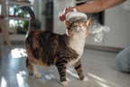 SteamGroom™ 3-in-1 Steam Brush for Dogs & Cats – Self-Cleaning Spray Comb