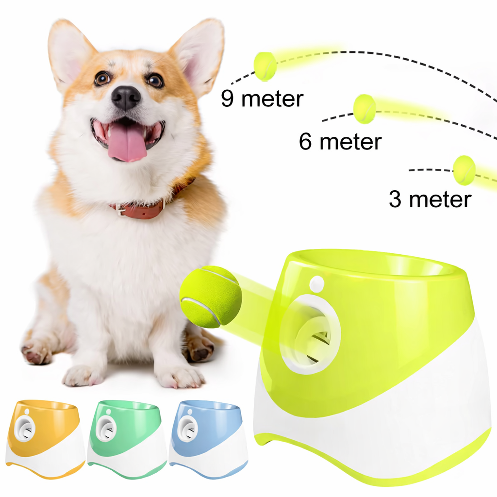 Automatic dog ball thrower – 3 6 9 meters