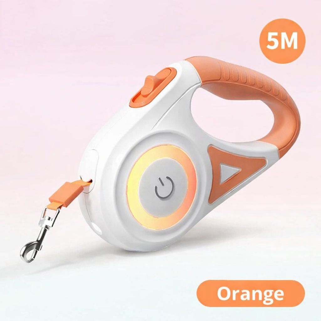Dog Leash with Integrated LED Light