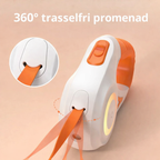 Dog Leash with Integrated LED Light