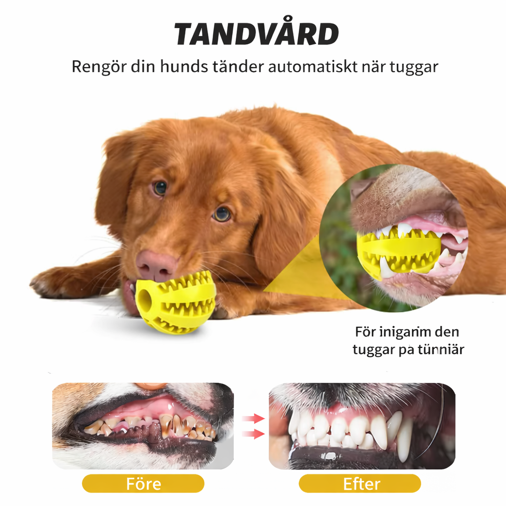 Dog Activity Ball – Fill with Treats | Durable & Dental Care