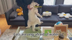 SteamGroom™ 3-in-1 Steam Brush for Dogs & Cats – Self-Cleaning Spray Comb