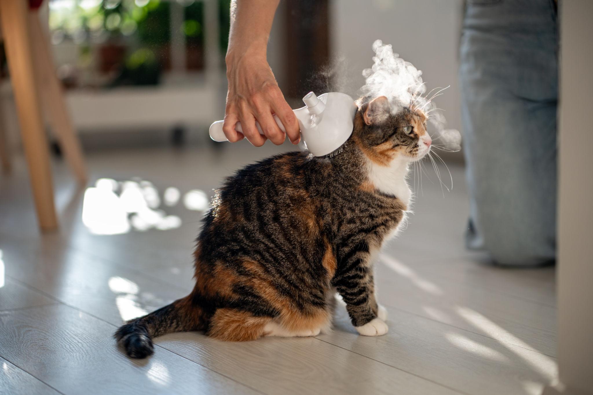 SteamGroom™ 3-in-1 Steam Brush for Dogs & Cats – Self-Cleaning Spray Comb
